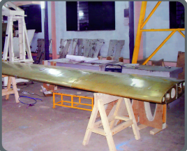 Wing For Seabird Aviation Jordan